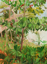 Seemandel und Baobab, 2021, Öl auf Papier, 48 x 35 cm