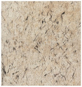 Erin Wiersma, Transect 145 K1B (K-13), 2020, Kohle auf Papier auf Aludibond, ca. 122 x 114 cm