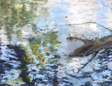 Gabriele Goerke, Baumstück im Wasser, Acryl Pigmente auf Leinwand, 100 x 130, 2019