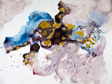 Timanfaya 6 Pigmente, Tusche, Schellack auf Papier 50 x 70 cm, 2020