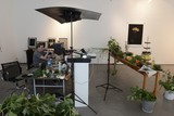 Performance - Achim Mohné | A Plant Scan Project, Galerie Judith Andreae, Bonn 2018