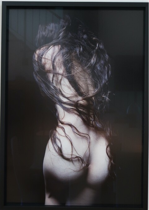 Carla van de Puttelaar, Rembrandt Series, 2015