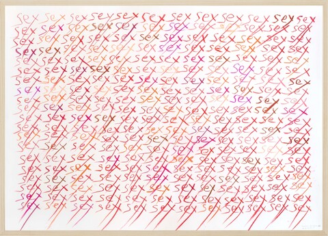 herman de vries, sex, 2018, Buntstift auf Papier, 62,5 x 87,5 cm