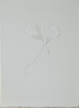 Andreas Kocks, Flowers (#2044), 2020 Büttenpapier, geschnitzt 39 x 28 cm, gerahmt