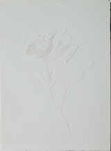 Andreas Kocks, Flowers (#2046), 2020 Büttenpapier, geschnitzt 39 x 28 cm, gerahmt