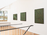 Ausstellungsansicht Hilde Trip &#34;The Patterns of Nature&#34; bei Schlieder Contemporary in Frankfurt