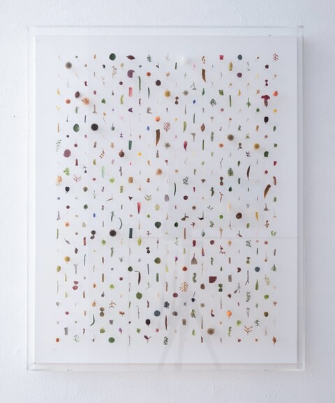 Artificial and Dried Flowers II, 2022 Künstliche Blumen, Trockenblumen, Nadeln 92 × 71 × 8.5 cm