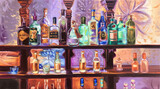 Sala Lieber, Tanqueray Dry Gin, 2024, Öl auf Leinwand, 60 x 110 cm