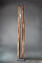 Kernel, Holz aus dem Moor, Plexiglas, Stahl, 230 x 25 x 19 cm, 2024