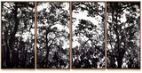 Jaime Sicilia, WALD 01-04, 2021