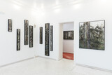 Jens Rausch, Ausstellungsansicht Durchforstungen, Foto: Nikolaus Fuercho