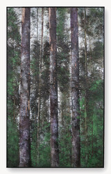 Jens Rausch, Durchforstete Passage, 2025
