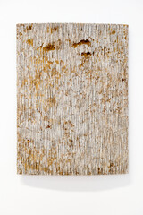 Dieter Kränzlein o.T., 2023 Muschelkalk 60 x 45 x 5 cm