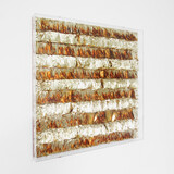 Otto Scherer: Goldrausch, Blattgold auf Holztafel, Acrylglashaube, 100 x 100 x 10cm, 2023, Auflage: 5