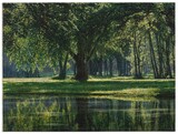 Jochen Hein