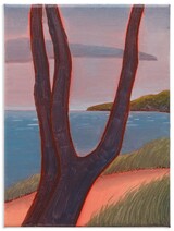 Dylan Hurwitz