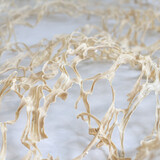 galerie lauffer Elisa Lohmüller keine Angabe 2024 Papierfaser, Wasser, Hollländer, Dressierbeutel 07,00,00 200x450cm Ansicht 1