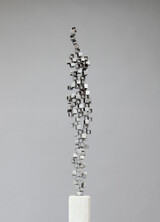 human cubes CARME (Groß)