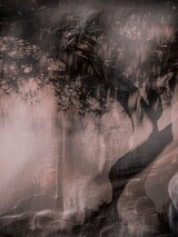 calanques tree 70 x 50 cm