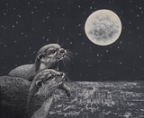 coexistence(共存)-2515