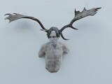 Der Krieger, lindenholz, Dammhirschgeweih, cm 80 x 100