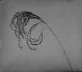 Commeter Holly Flower 01