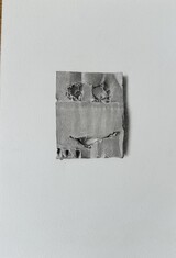 Commeter Cardboard Portrait 01 3