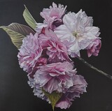 d0e5eb6f 95b1 4755 ac3b 1253191433a8