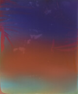 2 2025 Total Recall (Java)230x190cm