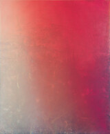 2021 Mission (tulip) 230x190cm