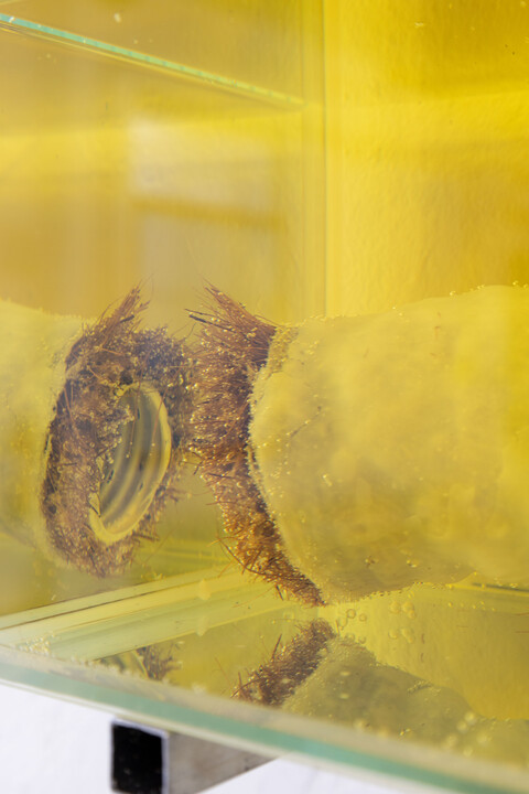 Drain by Gerbaulet, Maria