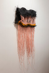 Susanne Theimann, Amobea