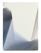 Friederike Walter, Flächentaucher