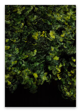 R2562 100x70x3cm Kopie