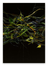 R2563 100x70x3cm Kopie
