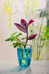 'Small blue glass' 2026