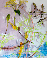 Fragments of an absent garden 2' 2025