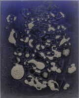 Heehyun Jeong, Hyeonmu 05, 2025, Öl auf Leinwand, 50 x 40 cm