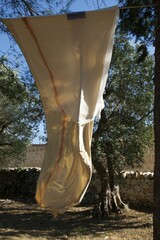 Katharina Schnitzler P6111275