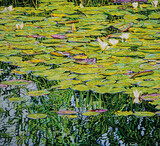 Am Scheerbach 90x100cm Öl auf Leinwand 2025