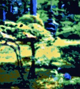 Japanese Garden Portland 2026 100x90 c