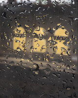 Jari Genser, Dresden, 2025, 41x33 cm