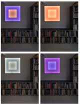 Yves Peitzner - Engram IRL (various emotions)