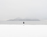 Uwe Langmann - Embrace