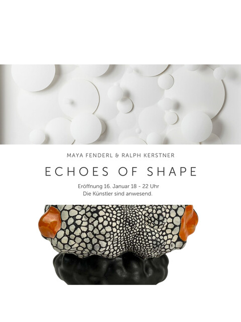 ECHOES OF SHAPE