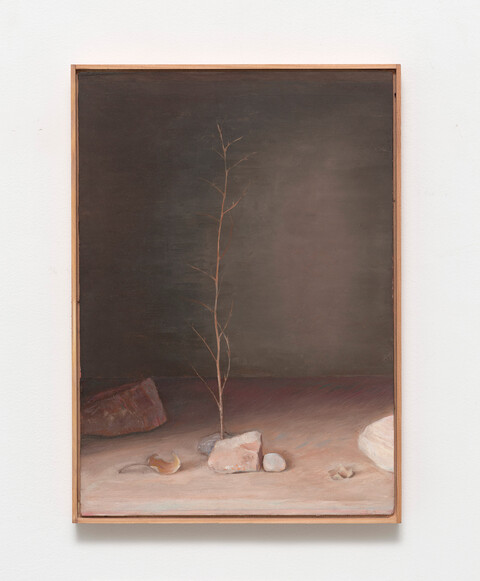 AS Steine und Ast #2