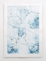 Carmen Schaich DOVE Gust 2025 glass etching on handmade paper 67x47cm 80