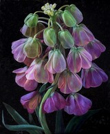 Glockenblume, 2025, Öl auf Leinwand, 200 x160 cm